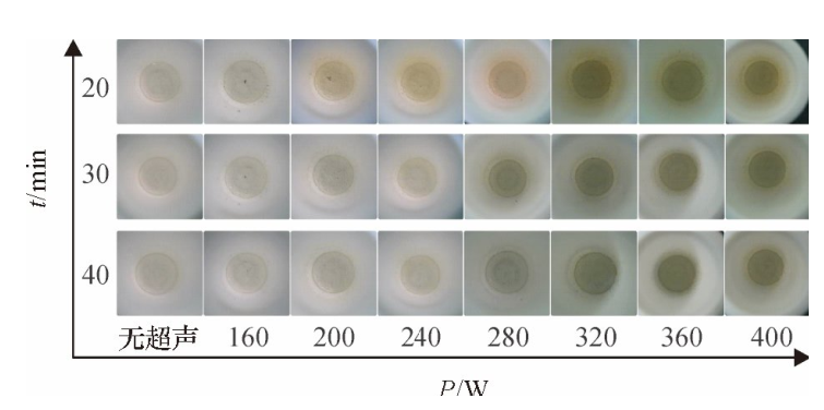不同密閉消解時間、不同超聲功率的消解效果